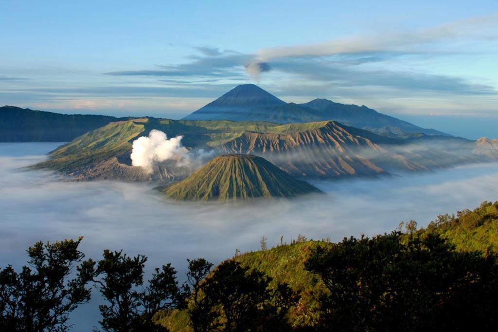 Hotel Lereng Bromo Пасуруан Экстерьер фото