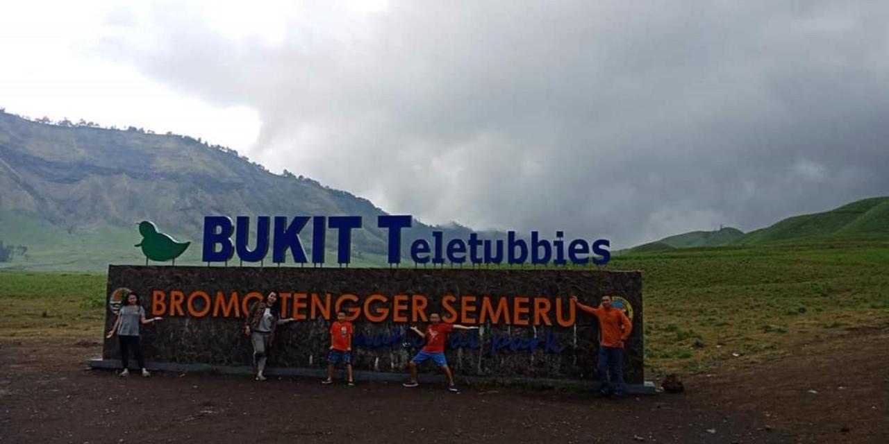Hotel Lereng Bromo Пасуруан Экстерьер фото